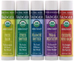 Badger Company