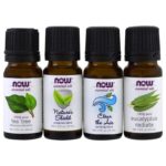⁦Now Foods, تغييرات موسمية، طقم زيوت أساسية لإعادة التوازن، 4 قناني، 1/3 أونصة سائلة (10 مل) كل قنينة⁩ - الصورة ⁦3⁩