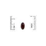 ⁦Lake Avenue Nutrition, فيتامين ك2 (في صورة ميناكينون-7)، 50 مكجم، كبسولة هلامية نباتية⁩ - الصورة ⁦3⁩