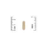 ⁦California Gold Nutrition, فطر الريشي (جانوديرما لوسيدوم)، كامل الطيف، عضوي معتمد، للدعم الخلوي، 90 كبسولة نباتية⁩ - الصورة ⁦3⁩