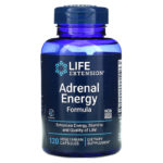 Life Extension
