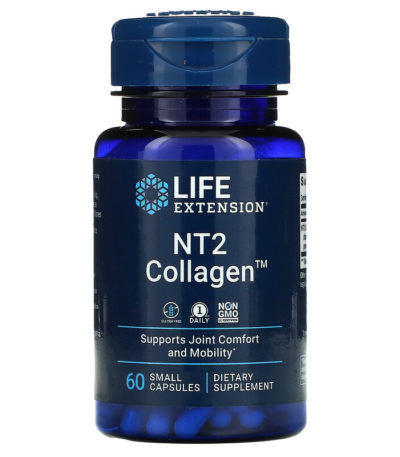 Life Extension