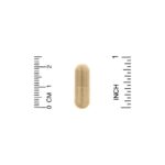 ⁦California Gold Nutrition, مستخلص لحاء الصنوبر البحري الفرنسي، Oligopin، بوليفينول مضاد للأكسدة، 100 ملجم، كبسولة نباتية⁩ - الصورة ⁦3⁩