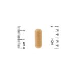 ⁦California Gold Nutrition, إنزيمات حالّة للبروتين، واسعة النطاق، 90 كبسولة نباتية ذات إطلاق تدريجي⁩ - الصورة ⁦3⁩