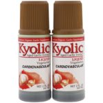 ⁦Kyolic, خلاصة الثوم، للقلب والأوعية الدموية، سائل، 2 أونصة سائلة (60 مل)⁩ - الصورة ⁦3⁩