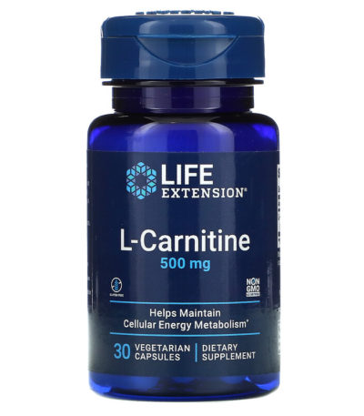 Life Extension