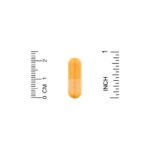 ⁦California Gold Nutrition, Curcumin C3 Complex المزود بـ BioPerine، ‏500 ملجم، 120 كبسولة نباتية⁩ - الصورة ⁦3⁩
