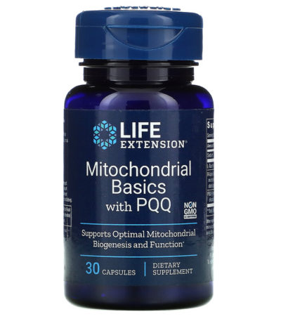 Life Extension