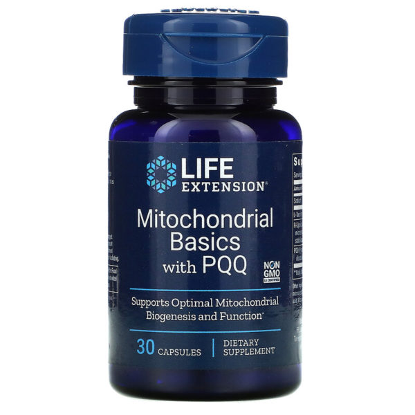 Life Extension