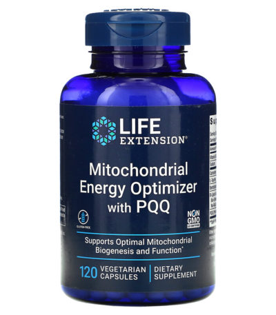 Life Extension