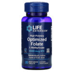 Life Extension