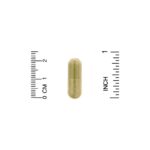 ⁦California Gold Nutrition, فيستين مع Novusetin، 100 ملجم، 30 كبسولة نباتية⁩ - الصورة ⁦3⁩