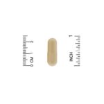 ⁦California Gold Nutrition, TheanineUP الطاقة المركزة، ل-ثيانين وكافيين، 60 كبسولة نباتية⁩ - الصورة ⁦3⁩