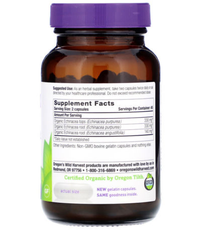 Echinacea