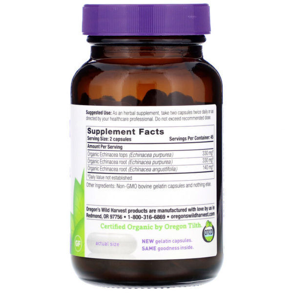 Echinacea