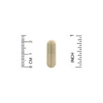 ⁦Organix South, TheraNeem Naturals، أوراق النيم الشائع، لصحة البشرة والهضم، 120 كبسولة نباتية⁩ - الصورة ⁦3⁩