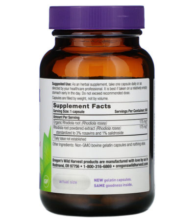 Rhodiola