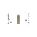 90 Gelatin Capsules  من متجر روزا في فلسطين