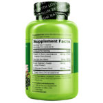 Immune Support with Elderberry