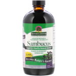Black Elderberry