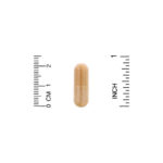 ⁦Organic India, قرفة سيلانية، 90 كبسولة نباتية⁩ - الصورة ⁦3⁩