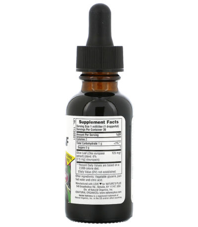 Herbal Actives، أوراق الزيتون، خالٍ من الكحول، 1 أونصة سائلة (30 مل)  من متجر روزا في فلسطين