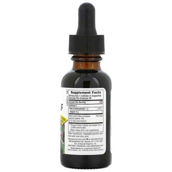Herbal Actives، أوراق الزيتون، خالٍ من الكحول، 1 أونصة سائلة (30 مل)  من متجر روزا في فلسطين