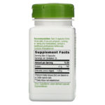 Chlorella