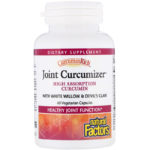 ⁦Natural Factors, CurcuminRich، Joint Curcumizer، 60 كبسولة نباتية⁩ - الصورة ⁦3⁩