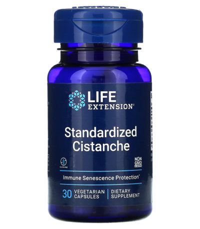 Life Extension