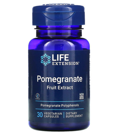 Life Extension