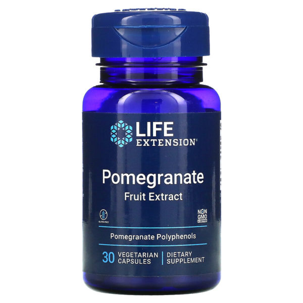 Life Extension