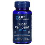Life Extension