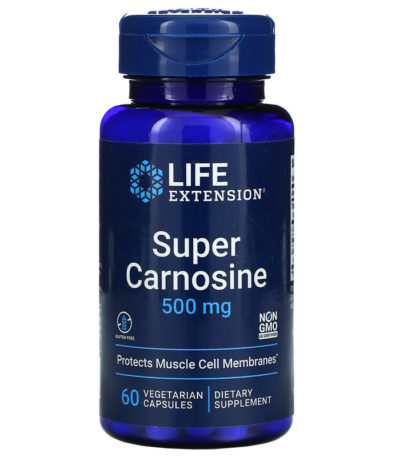 Life Extension