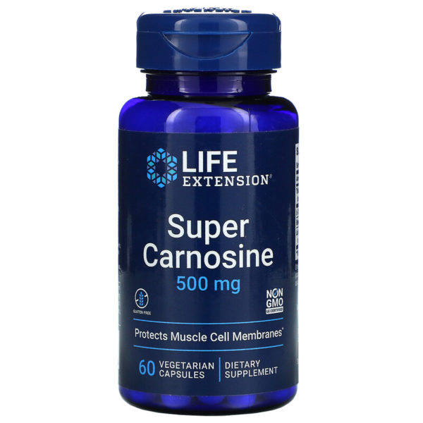 Life Extension