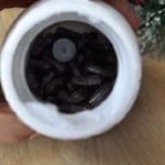 ⁦Natural Factors, عنب الأحراج، 40 ملغم، 60 كبسولة⁩ - الصورة ⁦3⁩