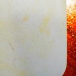 ⁦Now Foods, لوتين، 10 مجم، 120 كبسولة هلامية⁩ - الصورة ⁦4⁩