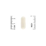 ⁦Lake Avenue Nutrition‏, أحماض أمينية كاملة، 240 كبسولة نباتية⁩ - الصورة ⁦3⁩