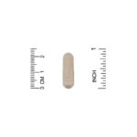 Probiotic Yeast