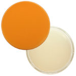 Define & Shine Custard