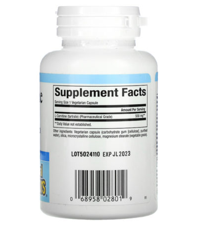 L-Carnitine