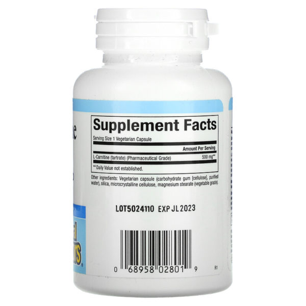 L-Carnitine