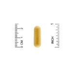 ⁦California Gold Nutrition‏, غذاء ملكات النحل، مركز ومجفف بالتجميد، 500 ملجم⁩ - الصورة ⁦3⁩