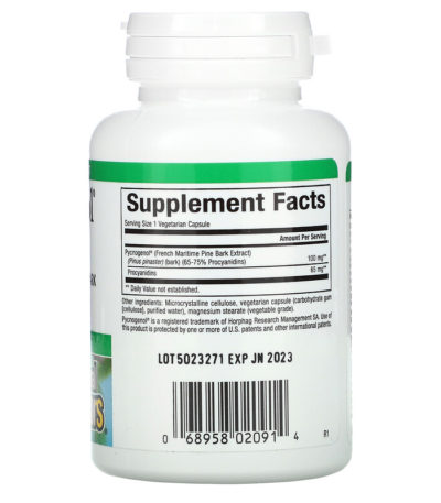 Pycnogenol