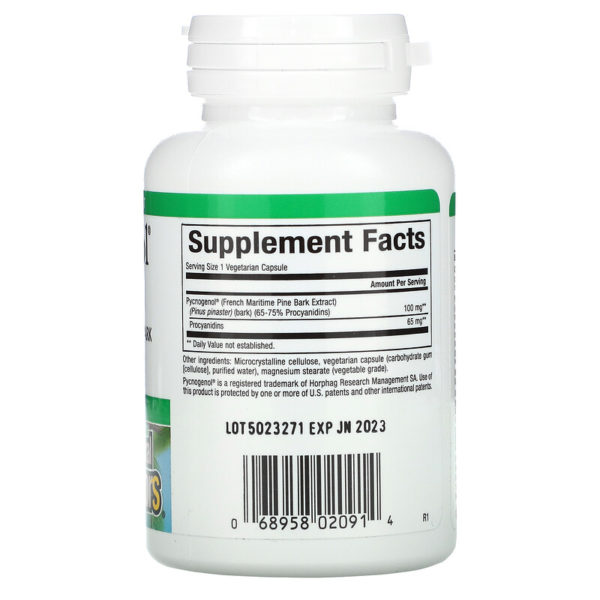 Pycnogenol