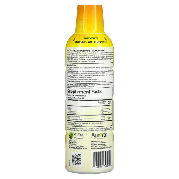 Mega-Liposomal Curcumin+، بنكهة الفواكه العضوية، 600 ملجم، 16 أونصة سائلة (480 مل)  من متجر روزا في فلسطين