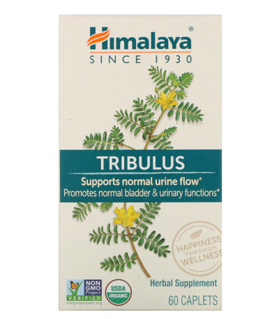Himalaya‏