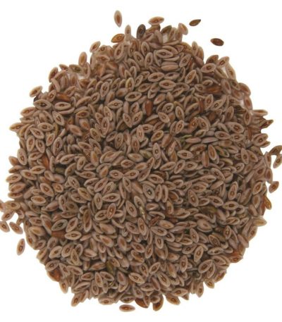 Frontier Natural Products‏
