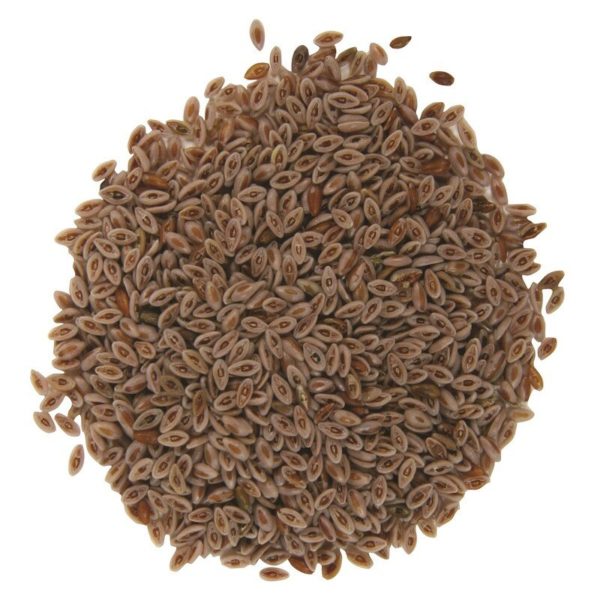 Frontier Natural Products‏