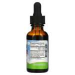Immune Boost with Echinacea